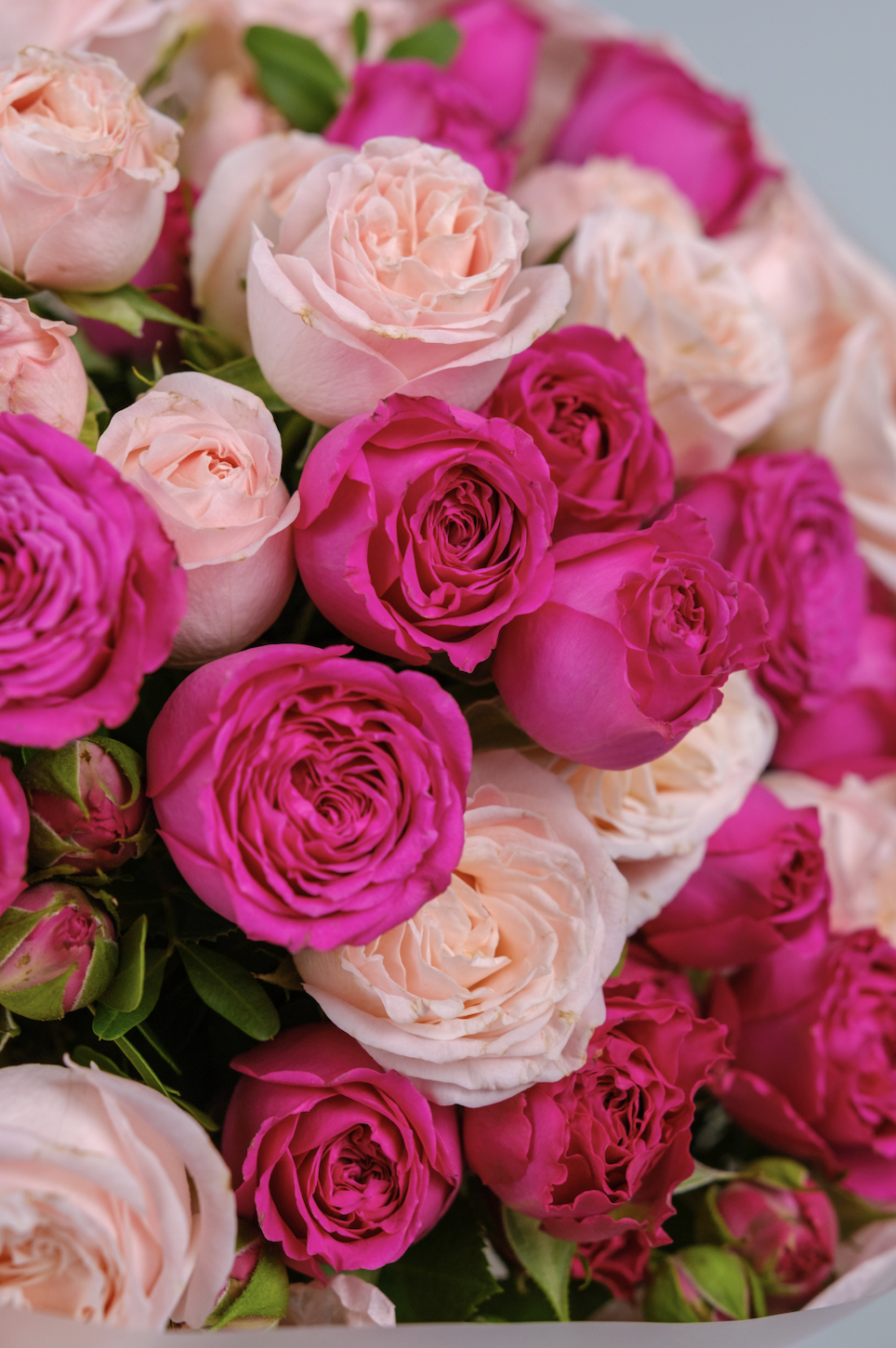 Маэстро