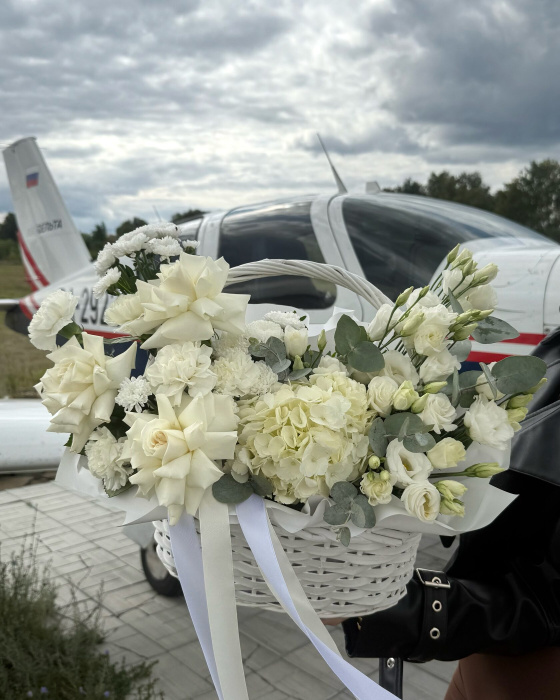 Единственный Пилот